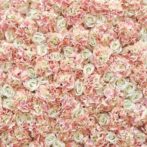 Fotosienelės